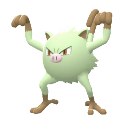 #056 Mankey